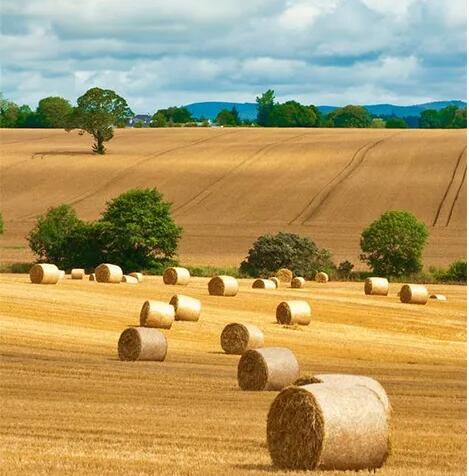 Examine How Net Wrap Bales Are Stored